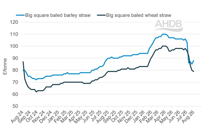 A line graph showing GB big bale straw weekly prices 2 August 2026.